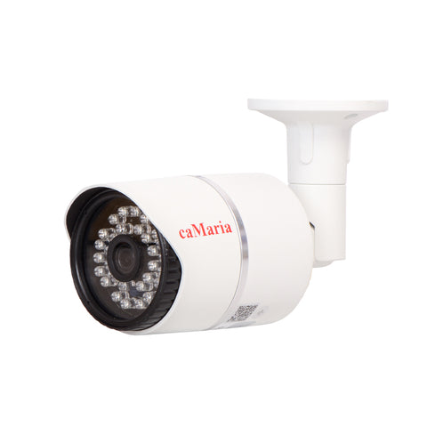 Camera de luat vederi pentru sistem CCTV caMaria, fara inregistrare, digitala 1.3 MP cu infrarosu AM-FB36-IP