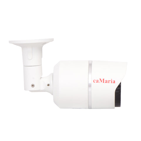 Camera de luat vederi pentru sistem CCTV caMaria, fara inregistrare, digitala 1.3 MP cu infrarosu AM-FB36-IP